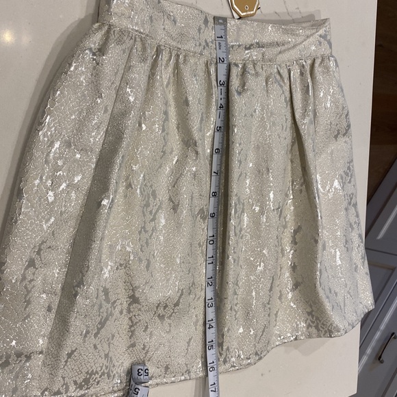 Beautiful cream and silver mini - Picture 3 of 3